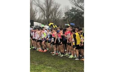 1/4 de Finale de Cross : Le TOP brille à Saint-Nicolas-de-la-Grave !