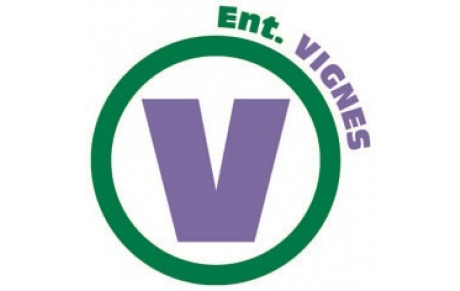 VIGNES